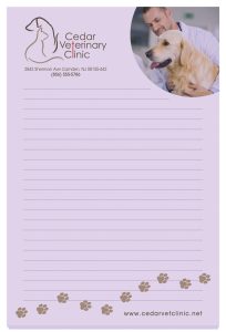 Souvenir® Sticky Note™ 4" x 6" Pad, 25 sheet