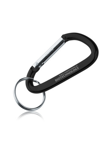 Metal Carabiner Keychains